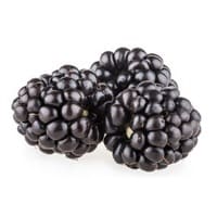 blackberries on white background