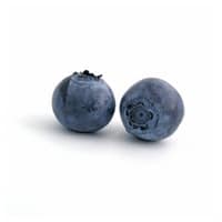 blueberries on white background