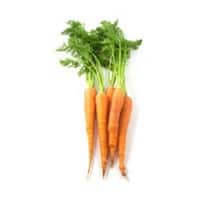 bunch of carrots on white background