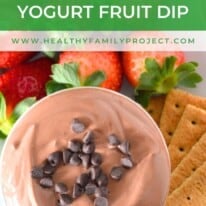 Chocolate Yogurt Fruit Dip Pin