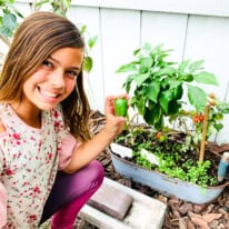 Gardening Tips for Beginners