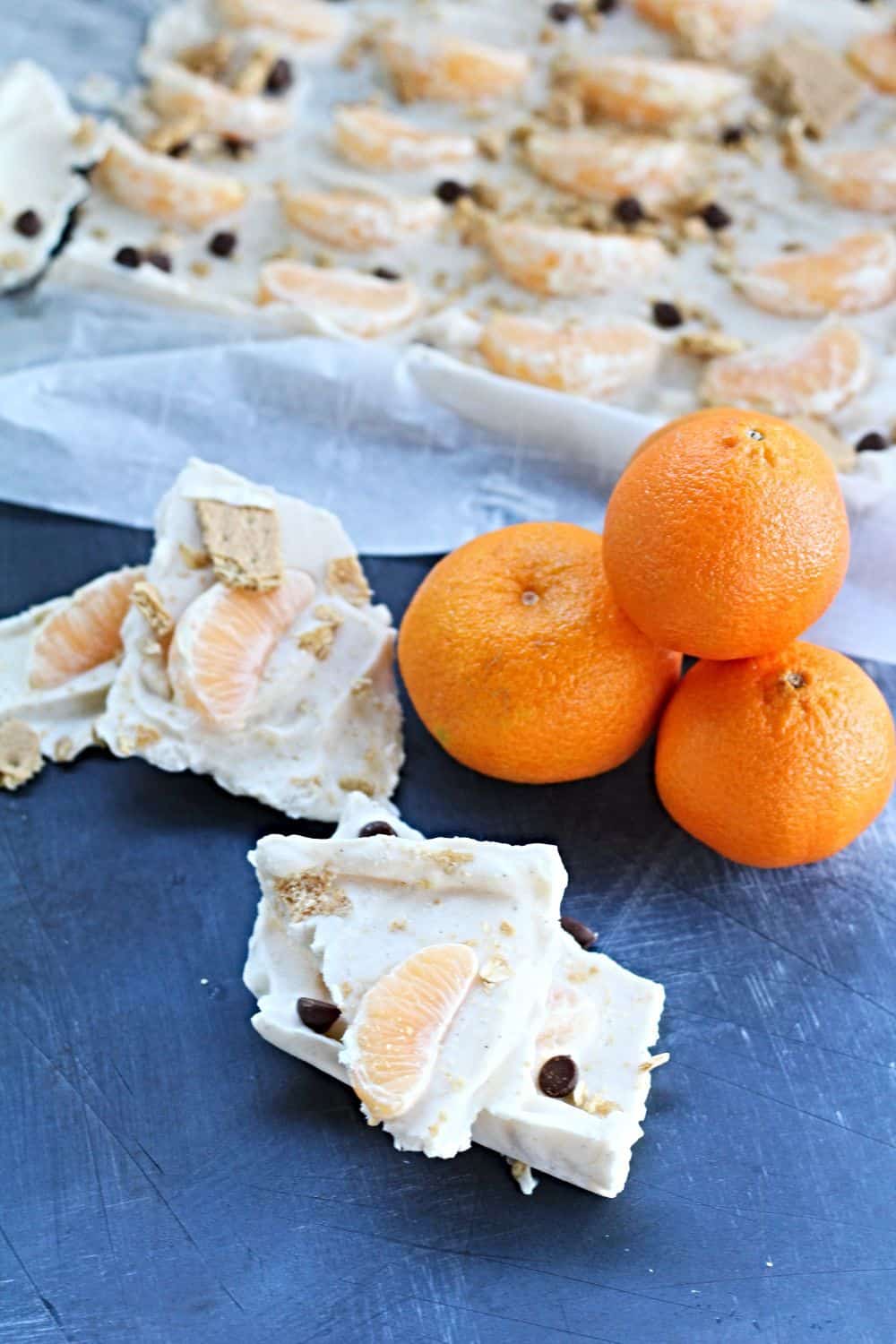 Easy Frozen Yogurt Bark with graham Crackers 