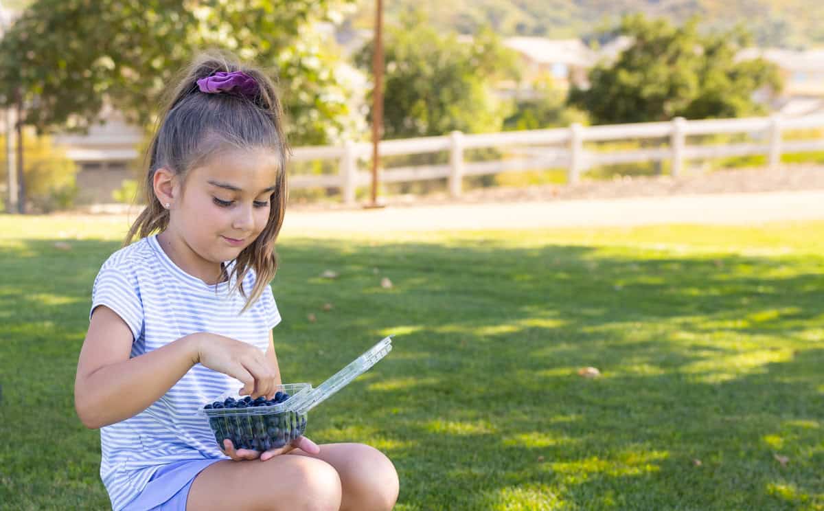 On the go breakfast ideas