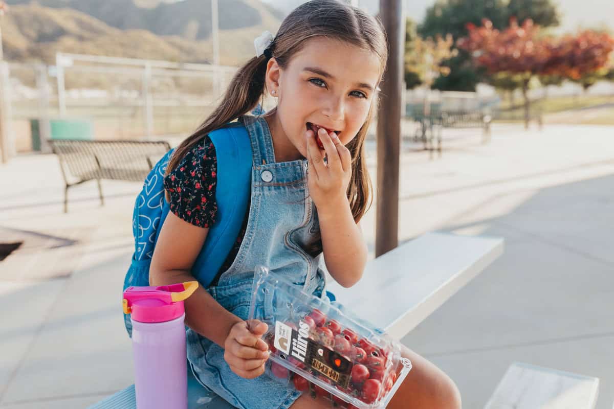 Sandwich On A Stick Ideas