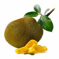 jackfruit on white background